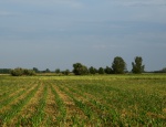 Polovny revir Mostova 03
