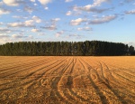 Polovny revir Mostova 12
